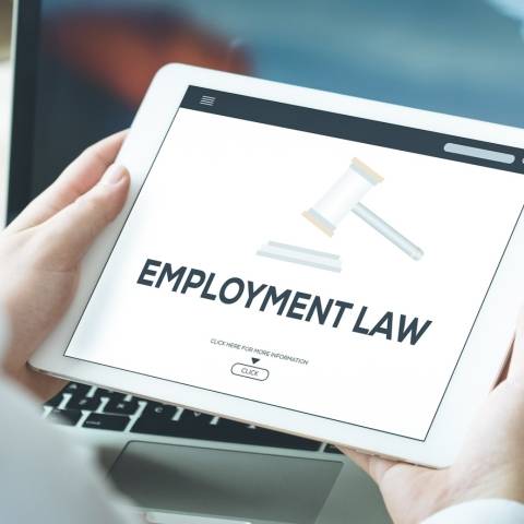 Basics of Employment Law for Non-HR Professionals